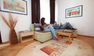banjica-sokobanja-apartman